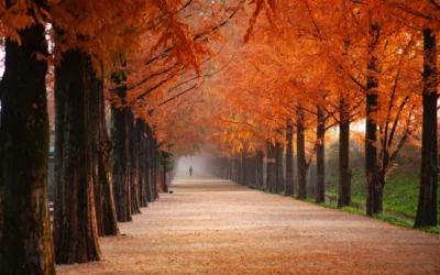Autumn Hair Style Refresh 2025